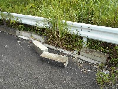 高知自動車道跨道橋(高知IC以東)_f0308898_13224288.jpg