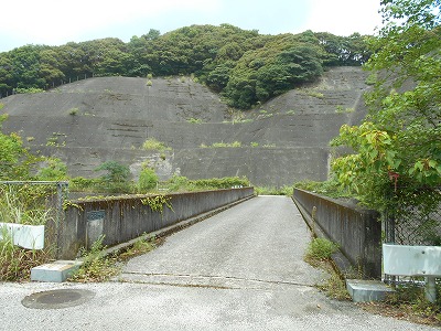 高知自動車道跨道橋(高知IC以東)_f0308898_13334227.jpg