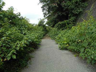 高知自動車道跨道橋(高知IC以東)_f0308898_13435922.jpg