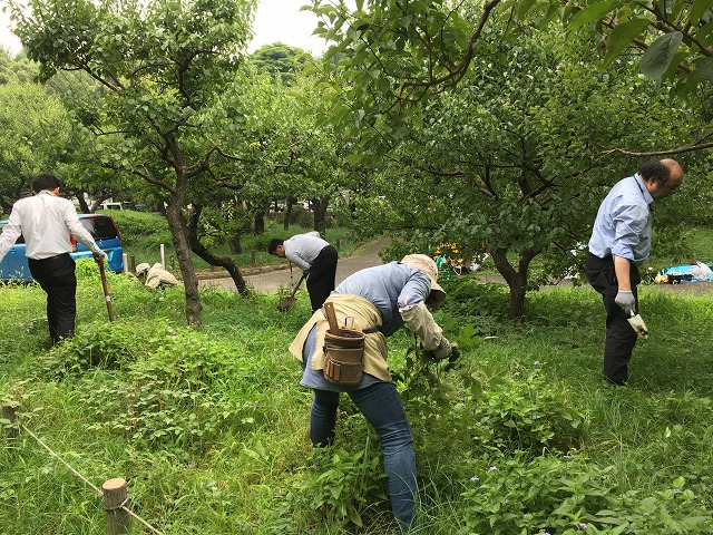 芝公園・生物多様性ガーデンへ_c0124100_016883.jpg