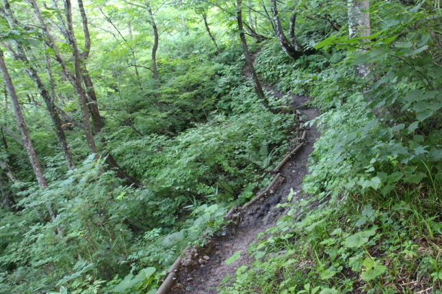a0320601_00402186.jpg