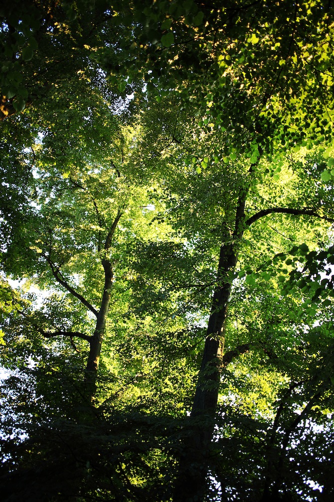c0249519_78440.jpg