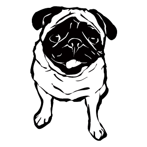 犬のイラストtシャツ パグ Uncle Charlie Collection 犬のイラストtシャツ パグ Uncle Charlie Collection