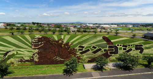 ２０１６年　田舎館村・田んぼアート「真田丸より石田三成と真田昌幸」_d0038630_20125539.jpg