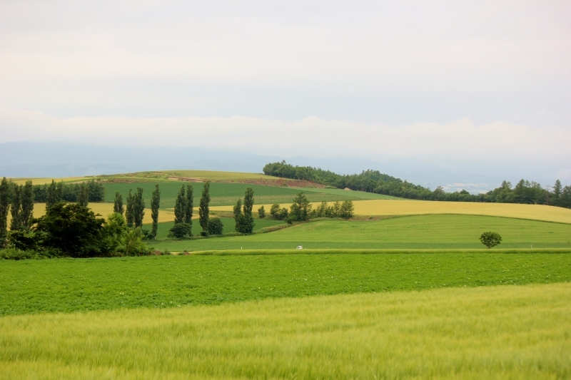 a0230831_21390135.jpg