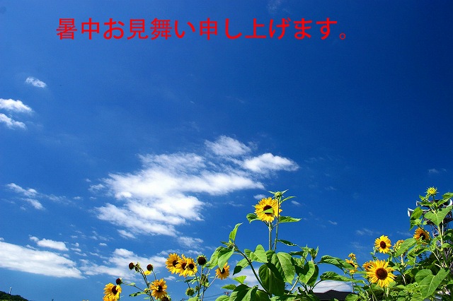 a0242438_19262147.jpg