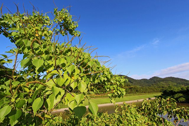 a0242438_19274050.jpg