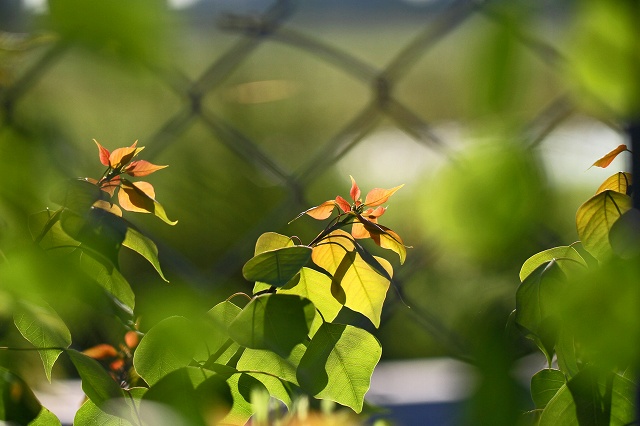 a0242438_192825.jpg