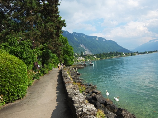 c0051938_955485.jpg