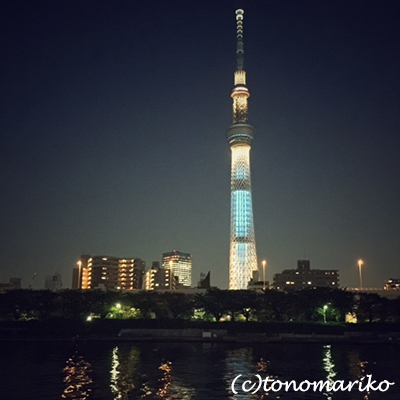 サル子ちゃんとの1ヶ月の夏休みもおわり・・・_c0024345_14520055.jpg