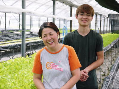 お待たせしました!朝採りの新鮮野菜『ベビーリーフチコリ』『ルッコラ』の販売スタートです!_a0254656_193867.jpg