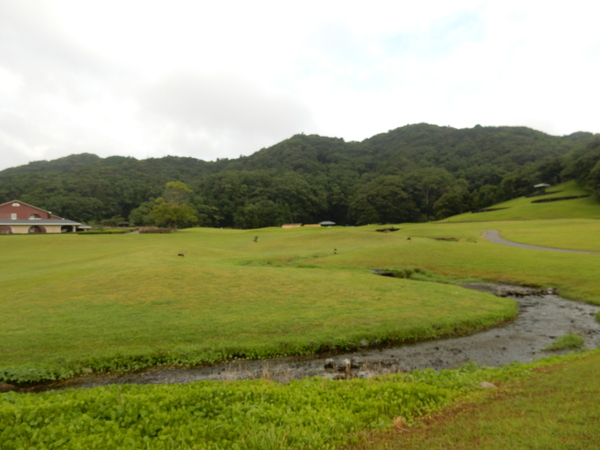 ’16,7,20(水)夏休みのブルーベリヒル!_f0060461_11353838.jpg