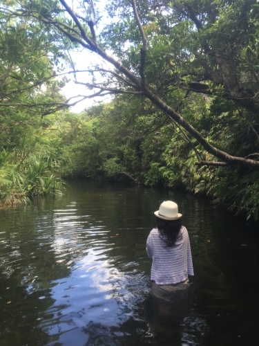 Iriomote Island-2._c0153966_11385775.jpeg