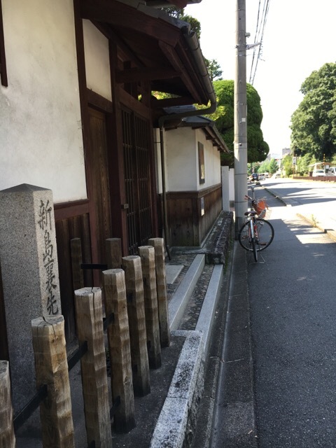 梅雨明け_f0363168_08053928.jpg
