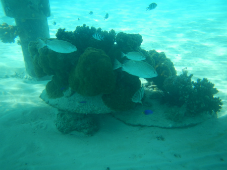 b0056570_1614591.jpg