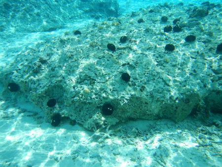b0056570_1618543.jpg