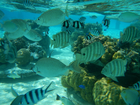 b0056570_16225566.jpg
