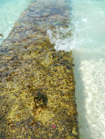 b0056570_16235873.jpg