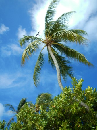 b0056570_1665561.jpg