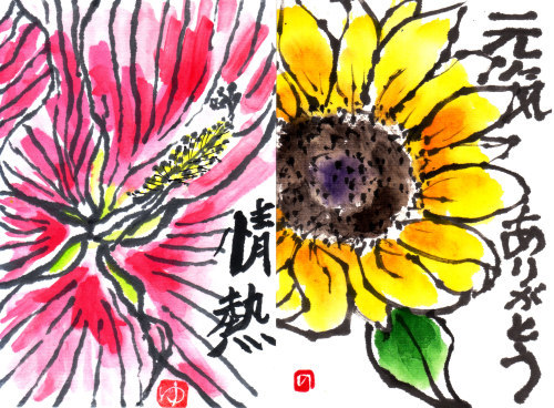 16年7月 花水木絵手紙 夏の花 Nonkoの絵手紙便り