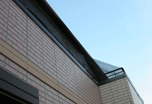 園芸用の遮光ネットで 日除け 今夜の夕食