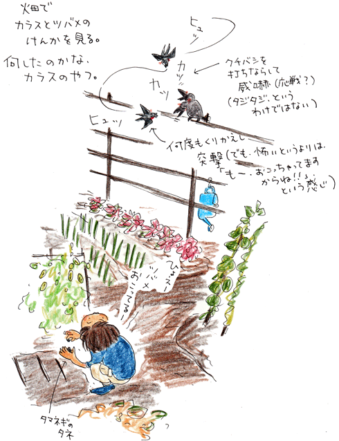 f0236291_1017895.gif