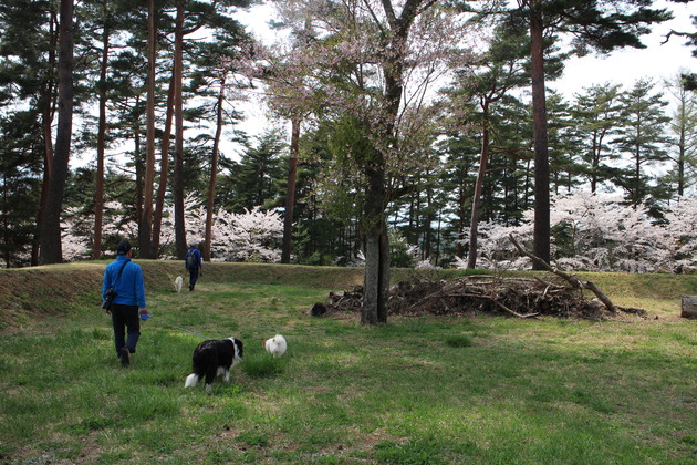 f0034602_19203721.jpg
