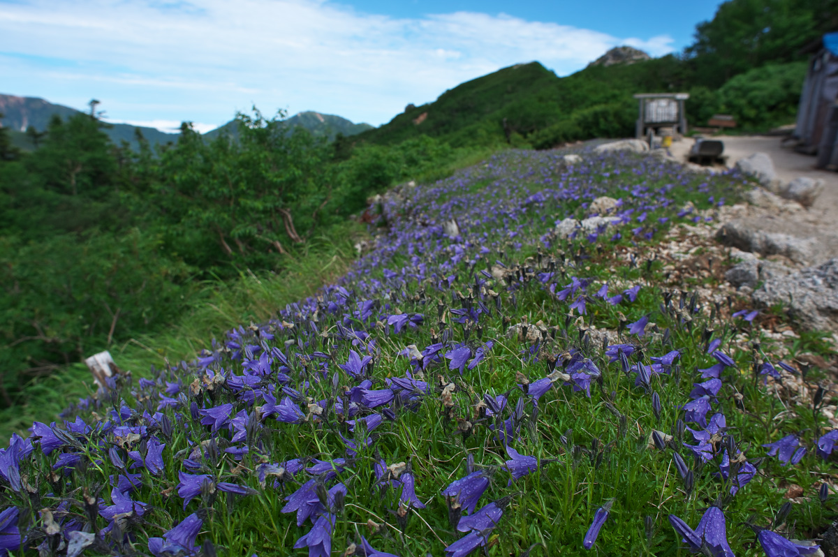 野口五郎岳_c0169106_224538.jpg