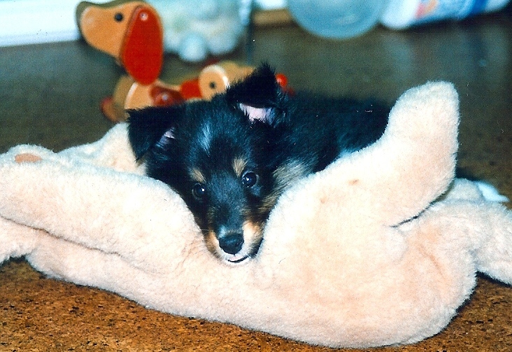 c0243807_22052901.jpg