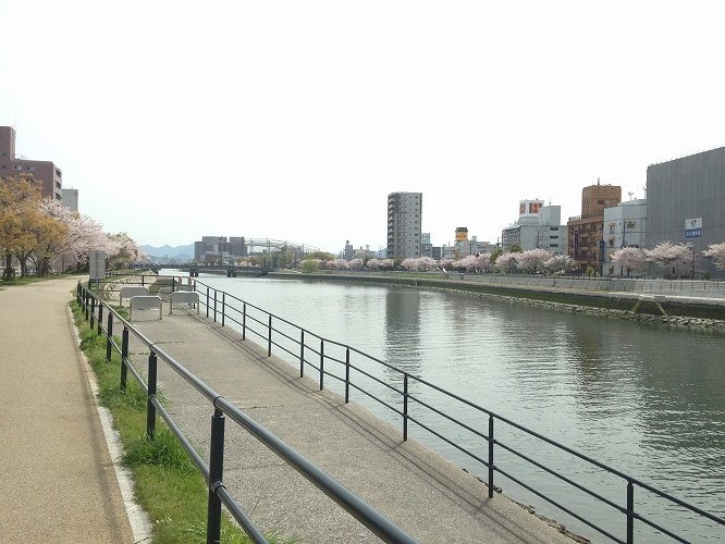 サロンドカフェ房州 広島鷹野橋ランチ後川沿い散策 毒舌グルメブログkana サロンドカフェ房州 広島鷹野橋ランチ後川沿い散策 毒舌グルメブログkana