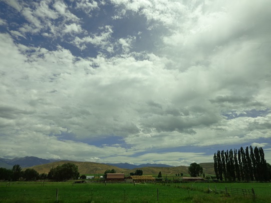 a0279116_7464411.jpg