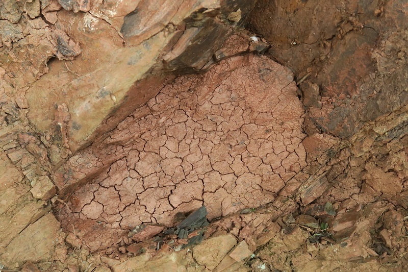 THE OUTBACK_f0076731_19590352.jpg