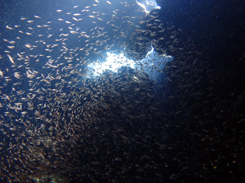 f0014842_18445485.jpg