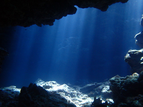 f0014842_18445490.jpg