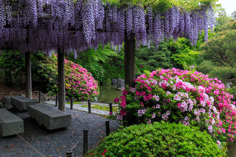 ツツジ咲く庭 城南宮 花景色 K W C Photoblog