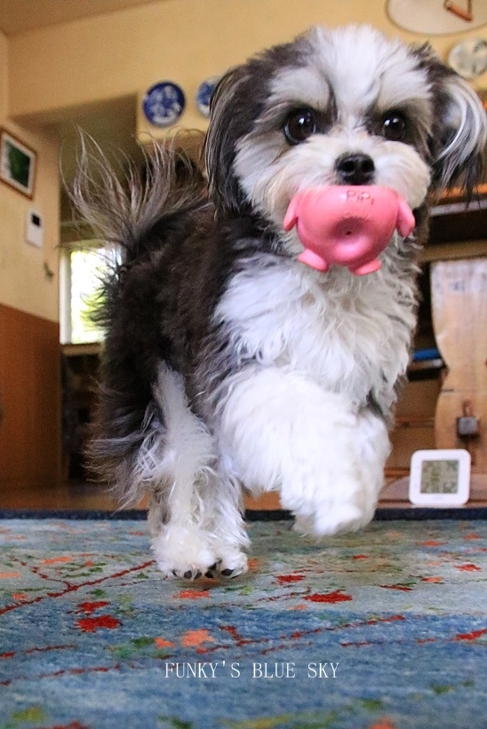 c0145250_10384712.jpg