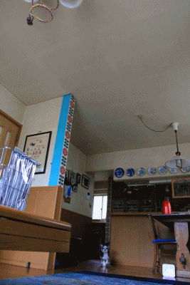 c0145250_15235000.gif