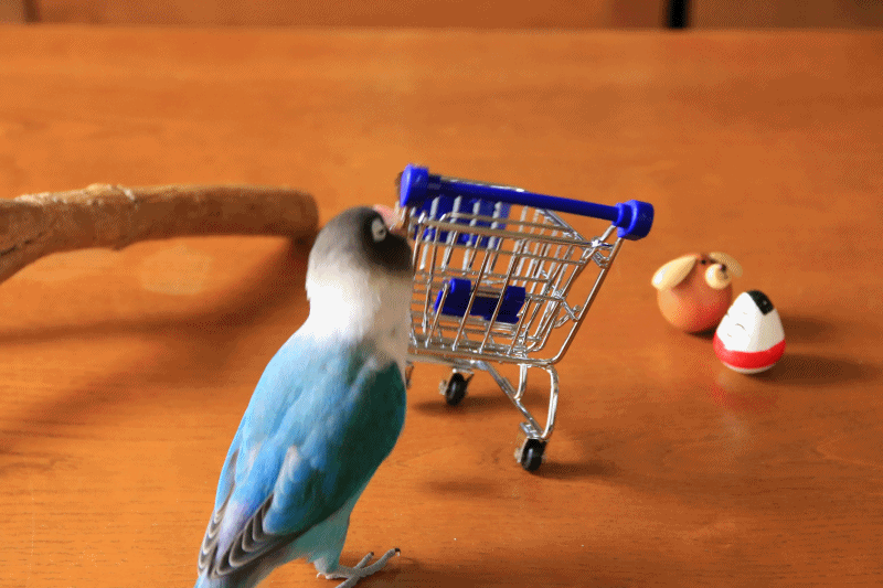 c0145250_15420879.gif