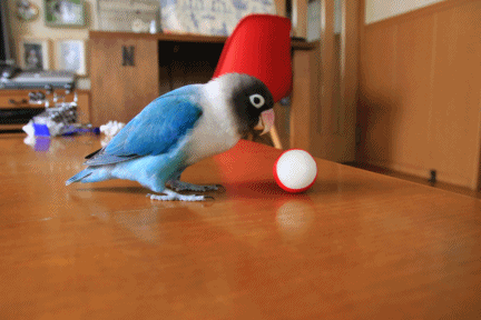 c0145250_15423790.gif