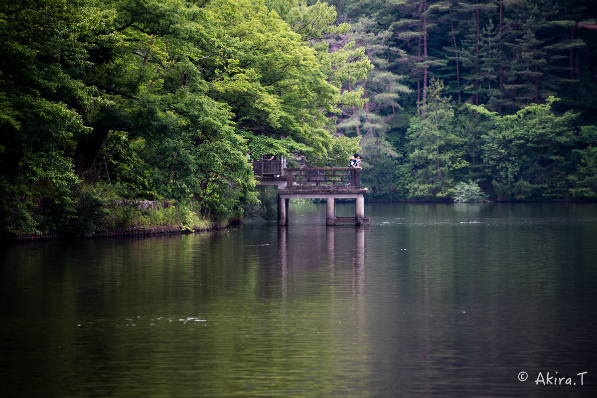 宝ヶ池でワンコ散歩 -1-_f0152550_2125568.jpg