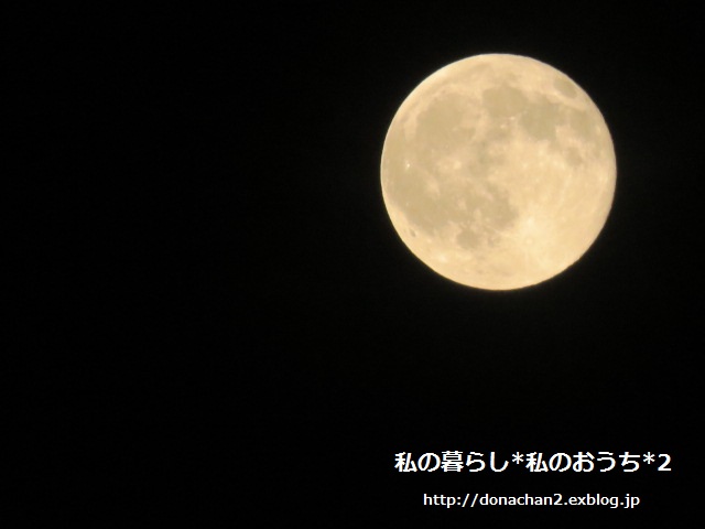 ++倉庫のお片付け*ビフォー・アフター++_e0354456_1623569.jpg