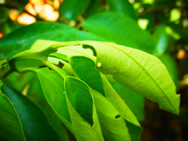 b0238760_10128.jpg