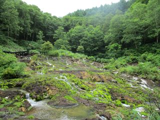 穴地獄・チャツボミゴケ公園へＧＯ☆☆☆_d0045362_21283188.jpg