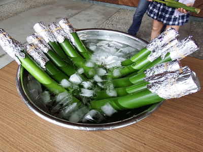 f0140773_10361062.gif