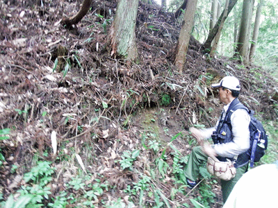 f0140773_1111188.gif