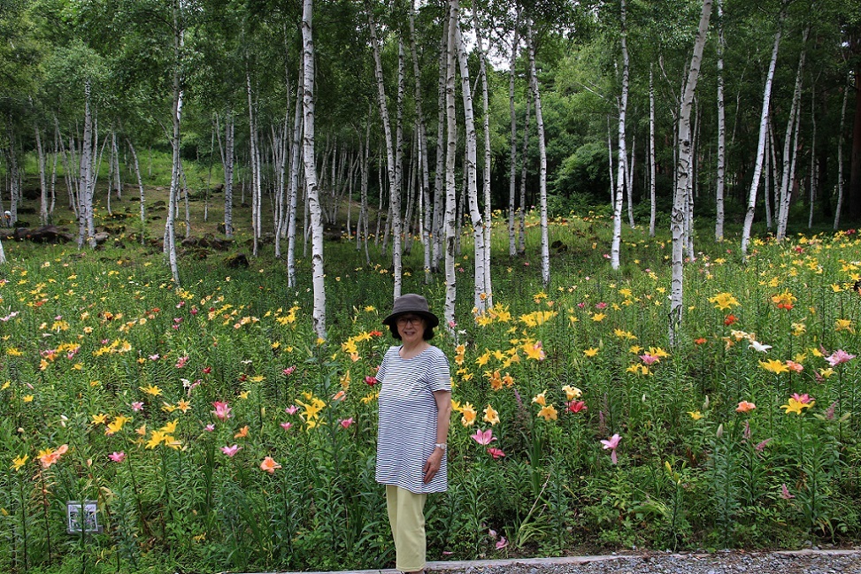 白樺の木立の中に咲く百合　～富士見高原・花の里～_a0107574_19542135.jpg