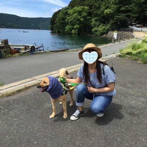 c0364176_17584352.jpeg