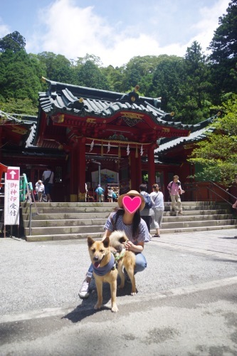 c0364176_18002637.jpeg