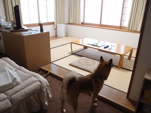 c0364176_18034320.jpeg