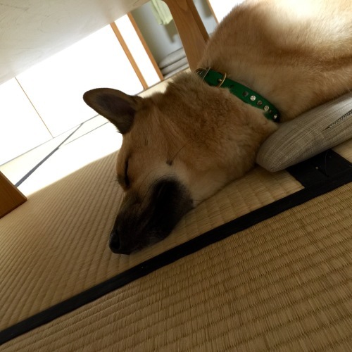 c0364176_18043742.jpeg